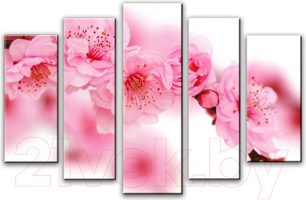 Изображение товара Картина модульная Arthata 5m-116 (160x90)