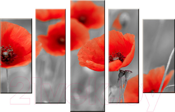 Изображение товара Картина модульная Arthata 5m-133 (105x60)