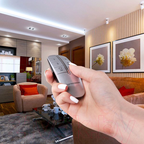 Изображение товара Дистанционный выключатель Elektrostandard Y10 3 канала (серебристый)