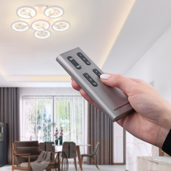 Изображение товара Дистанционный выключатель Elektrostandard Y11 3 канала (серебристый)