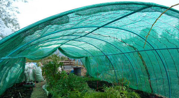 Изображение товара Защитная сетка для растений GreenTerra Для затенения 4x6 (зеленый)