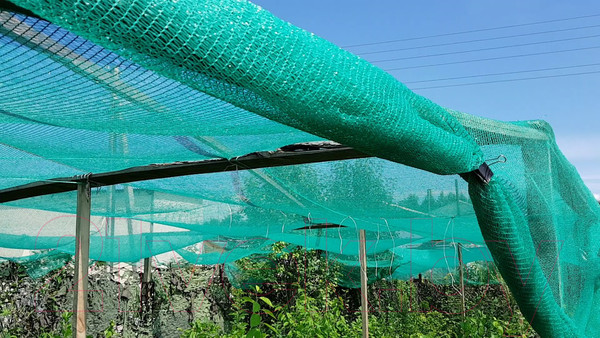 Изображение товара Защитная сетка для растений GreenTerra Для затенения 4x6 (зеленый)