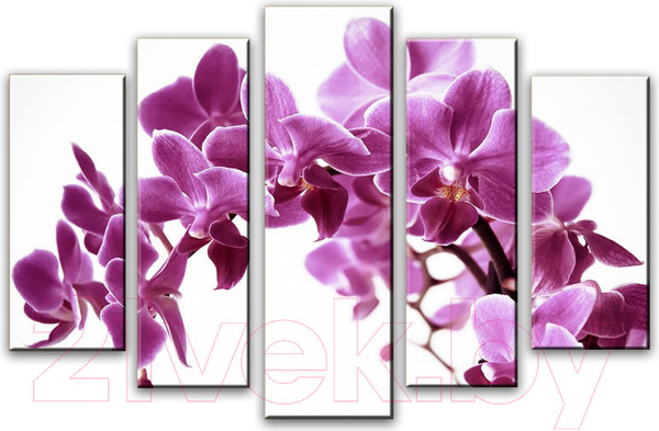 Изображение товара Картина модульная Arthata 5m-155 (160x90)