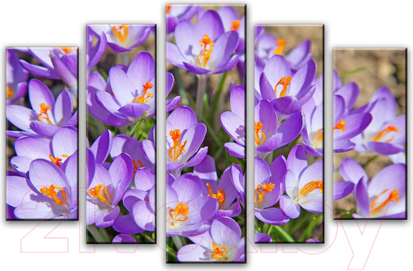 Изображение товара Картина модульная Arthata 5m-187 (105x60)