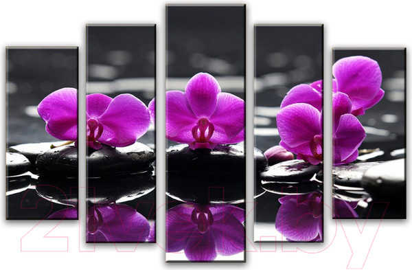 Изображение товара Картина модульная Arthata 5m-190 (160x90)