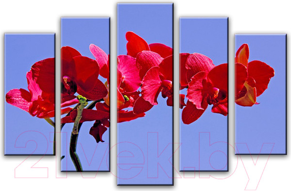 Изображение товара Картина модульная Arthata 5m-191 (105x60)