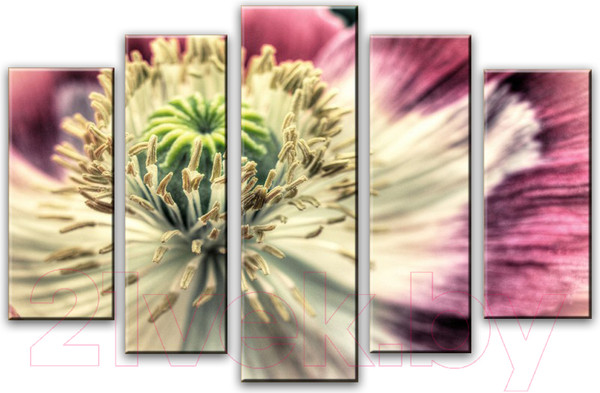 Изображение товара Картина модульная Arthata 5m-198 (160x90)