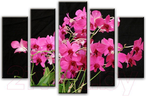 Изображение товара Картина модульная Arthata 5m-199 (160x90)