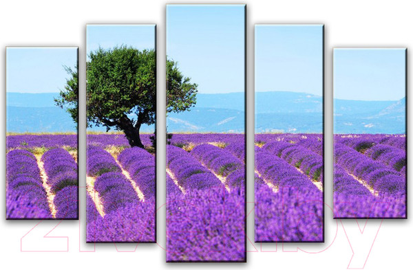 Изображение товара Картина модульная Arthata 5m-205 (160x90)