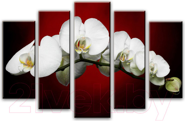 Изображение товара Картина модульная Arthata 5m-218 (160x90)