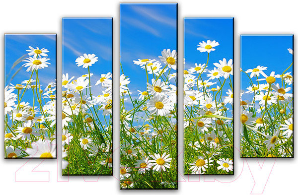 Изображение товара Картина модульная Arthata 5m-224 (105x60)