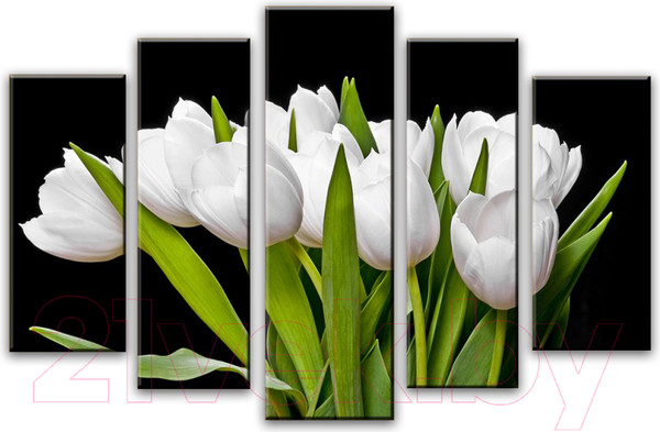 Изображение товара Картина модульная Arthata 5m-226 (160x90)