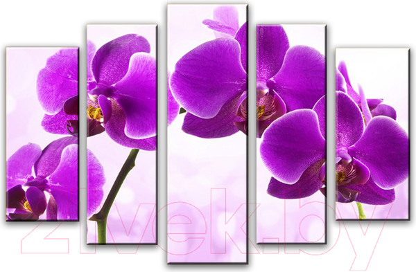 Изображение товара Картина модульная Arthata 5m-233 (160x90)