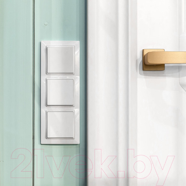Изображение товара Рамка для выключателей и розеток Werkel W0032001 / a051299 (белый/basic)