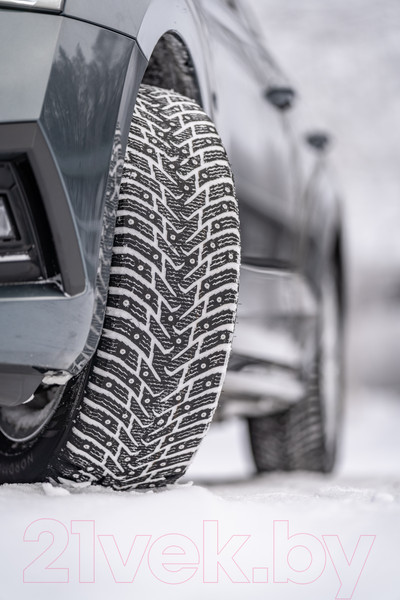 Изображение товара Зимняя шина Nokian Tyres Nordman 8 205/65R16 99T (шипы)