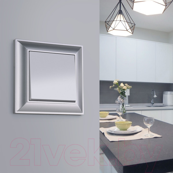 Изображение товара Выключатель Werkel W1110006 / a051498 (серебристый)
