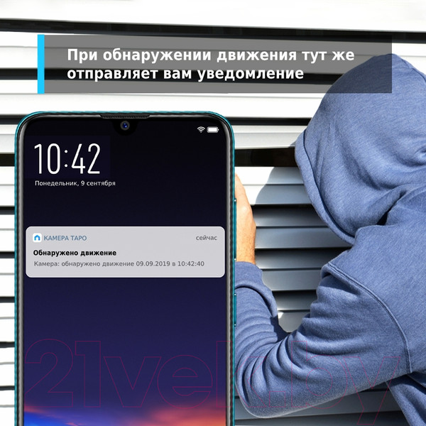 Изображение товара IP-камера TP-Link Tapo C210