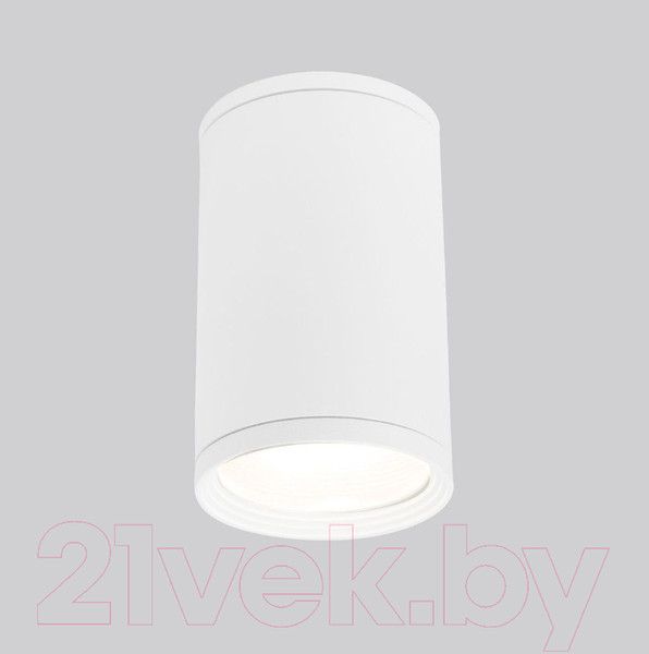 Изображение товара Светильник уличный Elektrostandard Light 2101 35128/H (белый)