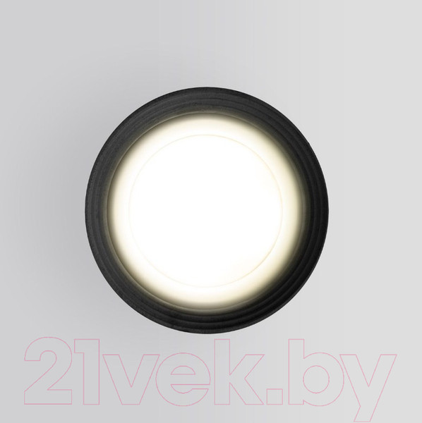 Изображение товара Светильник уличный Elektrostandard Light 2101 35128/H (серый)