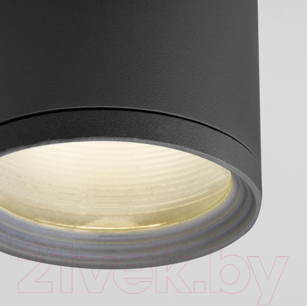 Изображение товара Светильник уличный Elektrostandard Light 2101 35128/H (серый)