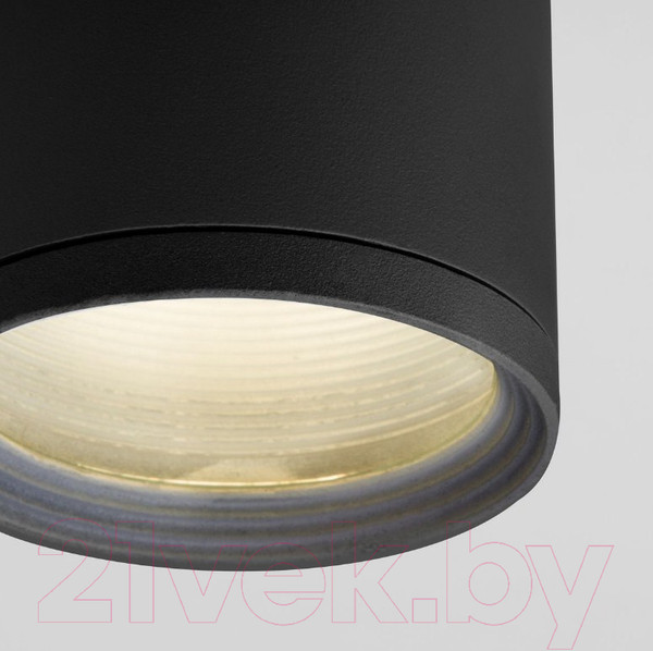 Изображение товара Светильник уличный Elektrostandard Light 2101 35128/H (черный)