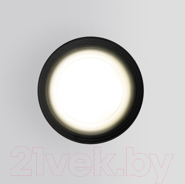 Изображение товара Светильник уличный Elektrostandard Light 2101 35128/H (черный)