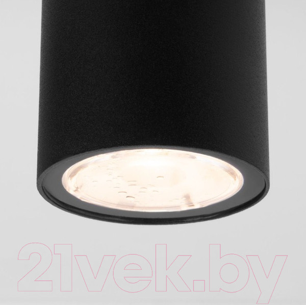 Изображение товара Светильник уличный Elektrostandard Light 2102 35129/H (черный)