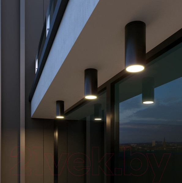 Изображение товара Светильник уличный Elektrostandard Light 2102 35129/H (черный)