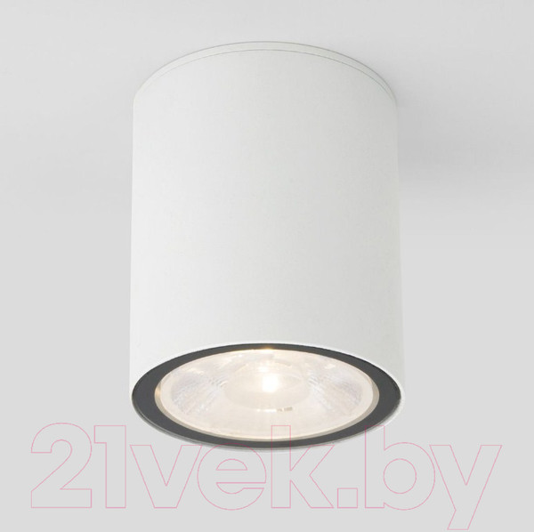 Изображение товара Светильник уличный Elektrostandard Light 2103 35131/H (белый)