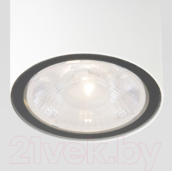 Изображение товара Светильник уличный Elektrostandard Light 2103 35131/H (белый)