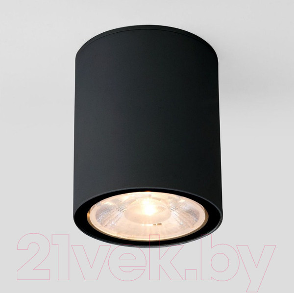 Изображение товара Светильник уличный Elektrostandard Light 2103 35131/H (черный)