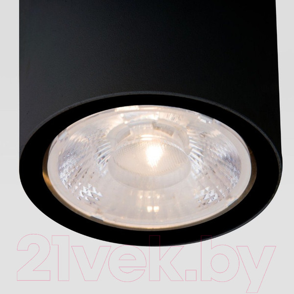 Изображение товара Светильник уличный Elektrostandard Light 2103 35131/H (черный)