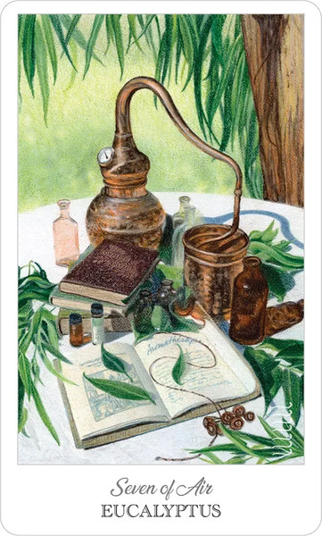 Изображение товара Гадальные карты U.S. Games Systems The Herbcrafter`s Tarot / HCT78