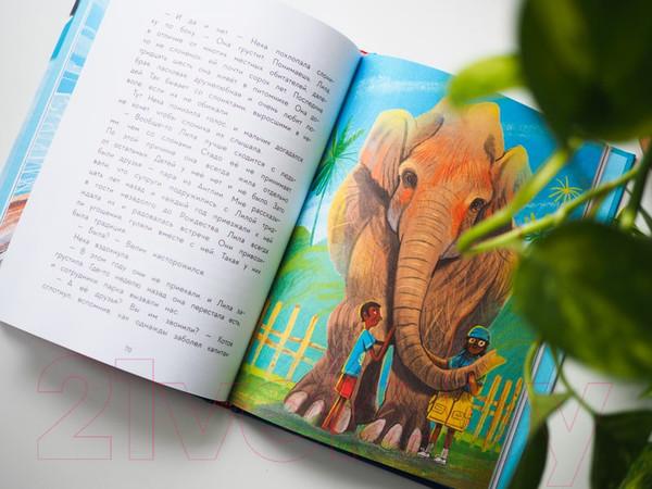 Изображение товара Книга МИФ Имя для капитана (Шелеметьева Е.)