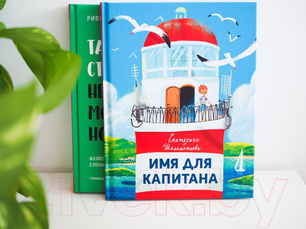 Изображение товара Книга МИФ Имя для капитана (Шелеметьева Е.)