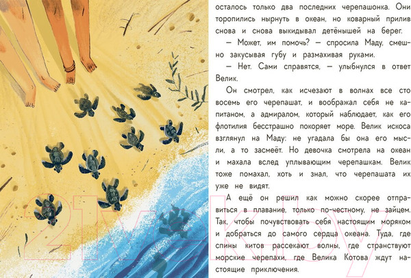 Изображение товара Книга МИФ Имя для капитана (Шелеметьева Е.)