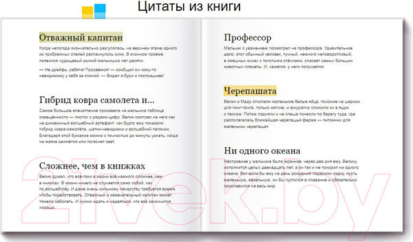 Изображение товара Книга МИФ Имя для капитана (Шелеметьева Е.)