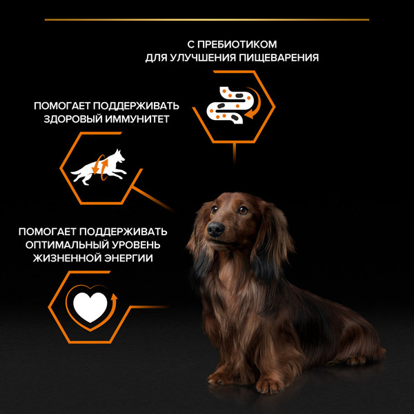 Изображение товара Влажный корм для собак Pro Plan Adult с говядиной в соусе (85г)