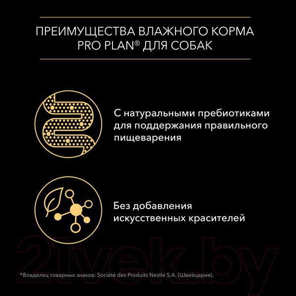 Изображение товара Влажный корм для собак Pro Plan Adult с говядиной в соусе (85г)
