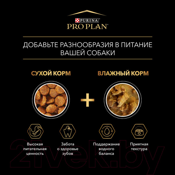 Изображение товара Влажный корм для собак Pro Plan Adult с говядиной в соусе (85г)