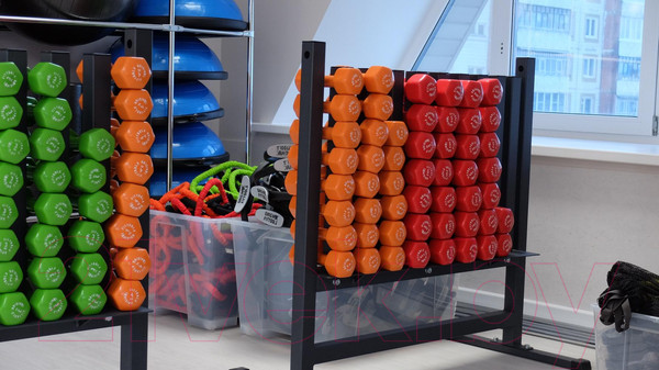 Изображение товара Стеллаж для спортивного инвентаря Original FitTools FT-VDR-30