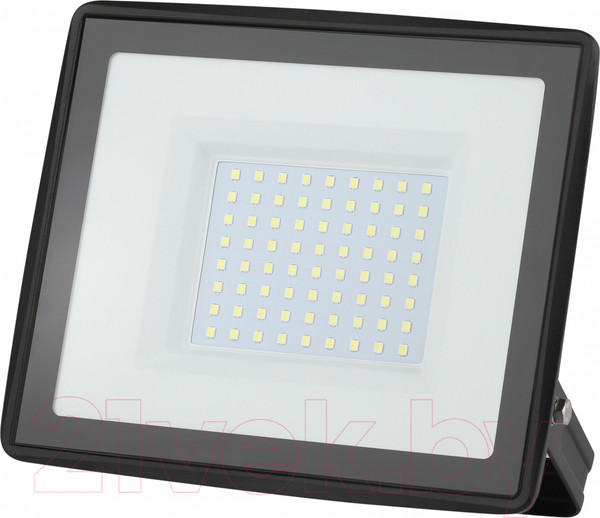 Изображение товара Прожектор ЭРА LPR-023-0-65K-100 / Б0052026