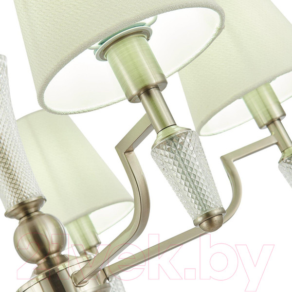 Изображение товара Люстра Evoluce Reimo SLE105503-05