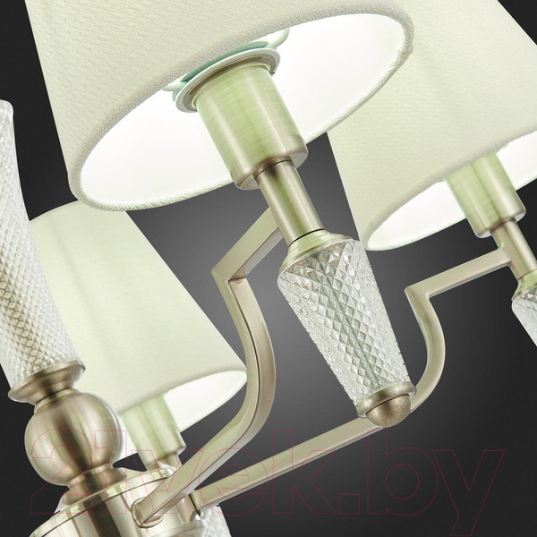 Изображение товара Люстра Evoluce Reimo SLE105503-05