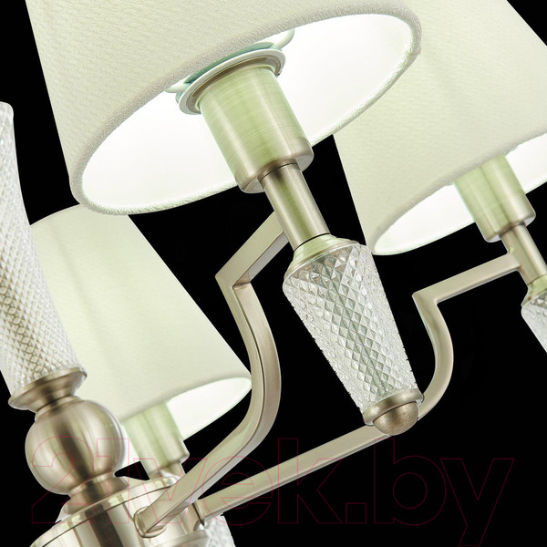 Изображение товара Люстра Evoluce Reimo SLE105503-05