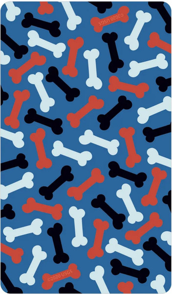 Изображение товара Гадальные карты U.S. Games Systems Wise Dog Tarot / WDT78