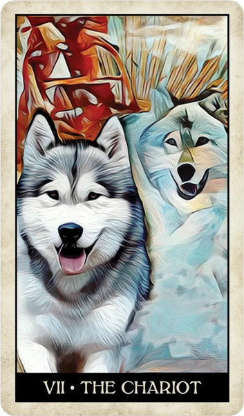 Изображение товара Гадальные карты U.S. Games Systems Wise Dog Tarot / WDT78