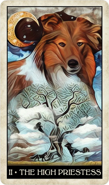 Изображение товара Гадальные карты U.S. Games Systems Wise Dog Tarot / WDT78