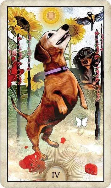 Изображение товара Гадальные карты U.S. Games Systems Wise Dog Tarot / WDT78