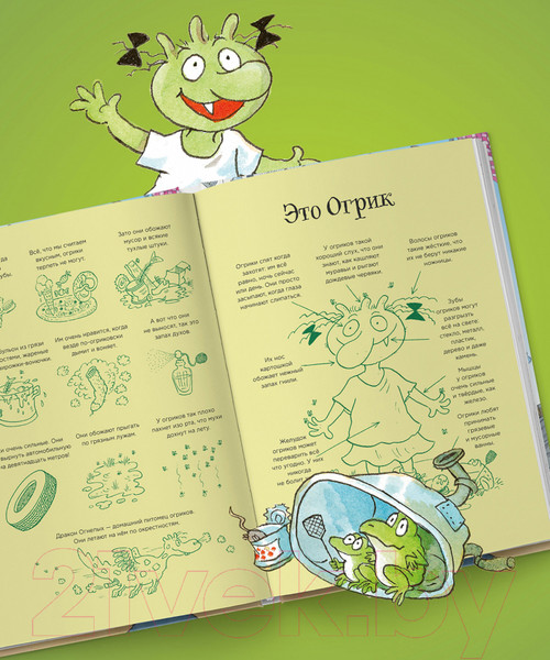 Изображение товара Книга Альпина Огрики из Грязьбурга (Эрхард Д.)